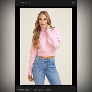 Dynamite Ellora Soft Pink Crop Turtleneck Sweater and matching hat
